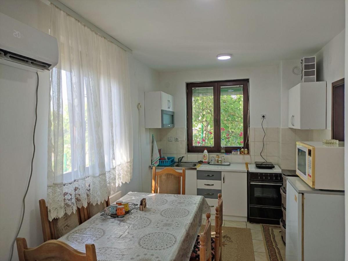 Willa Cozy House Cvetkovic Nisz Zewnętrze zdjęcie